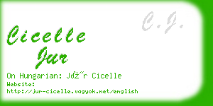 cicelle jur business card